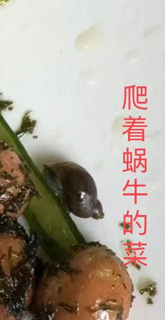 学校食堂吃出青虫、蜗牛等异物？上海奉贤区教育局通报 (http://www.ningyuanedu.com/) 教育 第1张