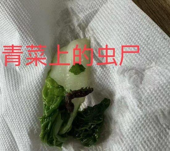 学校食堂吃出青虫、蜗牛等异物？上海奉贤区教育局通报 (http://www.ningyuanedu.com/) 教育 第2张