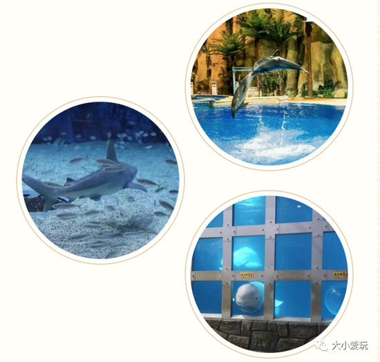 拒绝浪费夏日 跟上队伍上山下水收获博识、锻炼身心 (http://www.lingxun.net.cn/) 教育 第31张