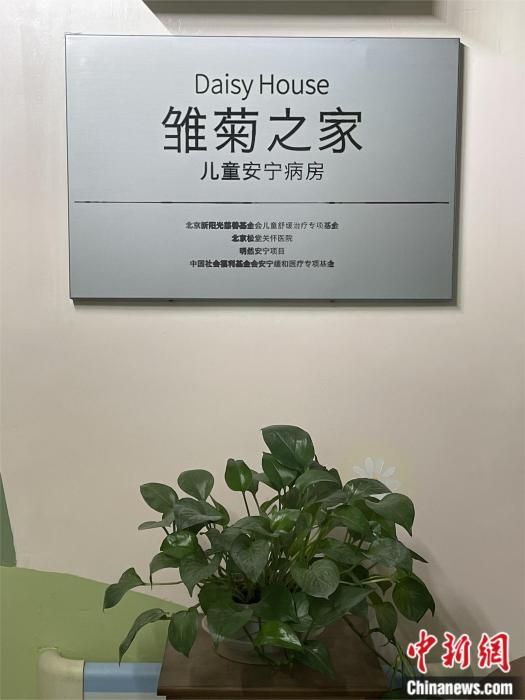 被忽视的生死教育 该如何向孩子讲述“死亡”？ (http://www.cstr.net.cn/) 教育 第3张