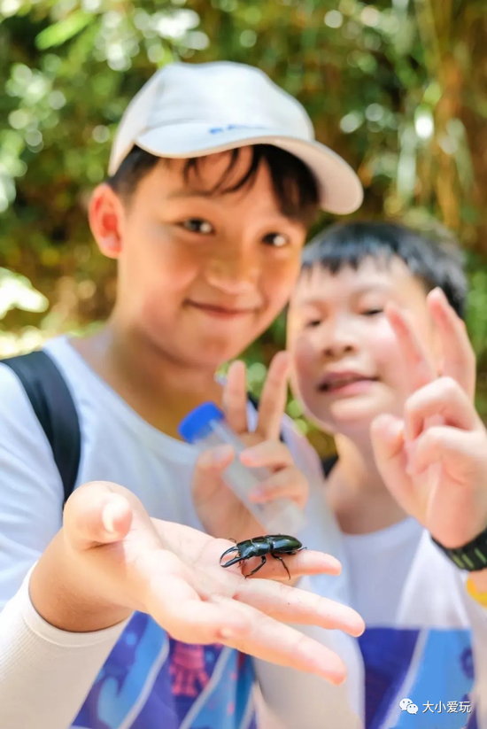 拒绝浪费夏日 跟上队伍上山下水收获博识、锻炼身心 (http://www.lingxun.net.cn/) 教育 第6张