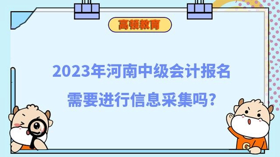 河南中级会计报名需要进行信息采集吗_高顿教育 (http://www.zjmmc.cn/) 教育 第1张