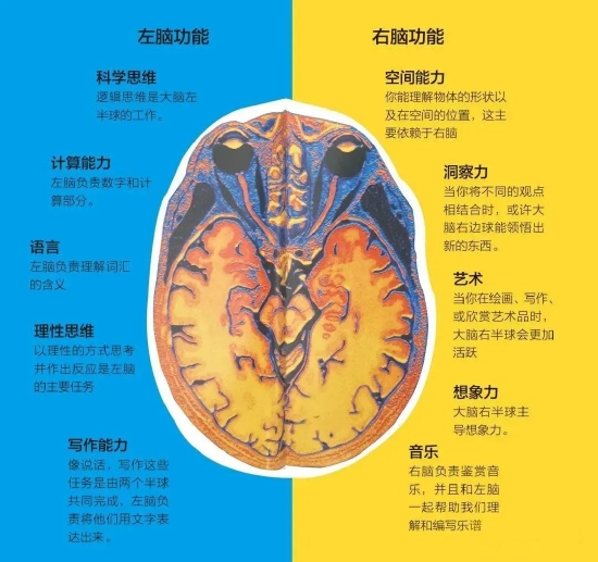 暑期孩子沉迷手机？聪明父母正偷偷选择这样做 让孩子受益一生 (http://www.lingxun.net.cn/) 教育 第6张