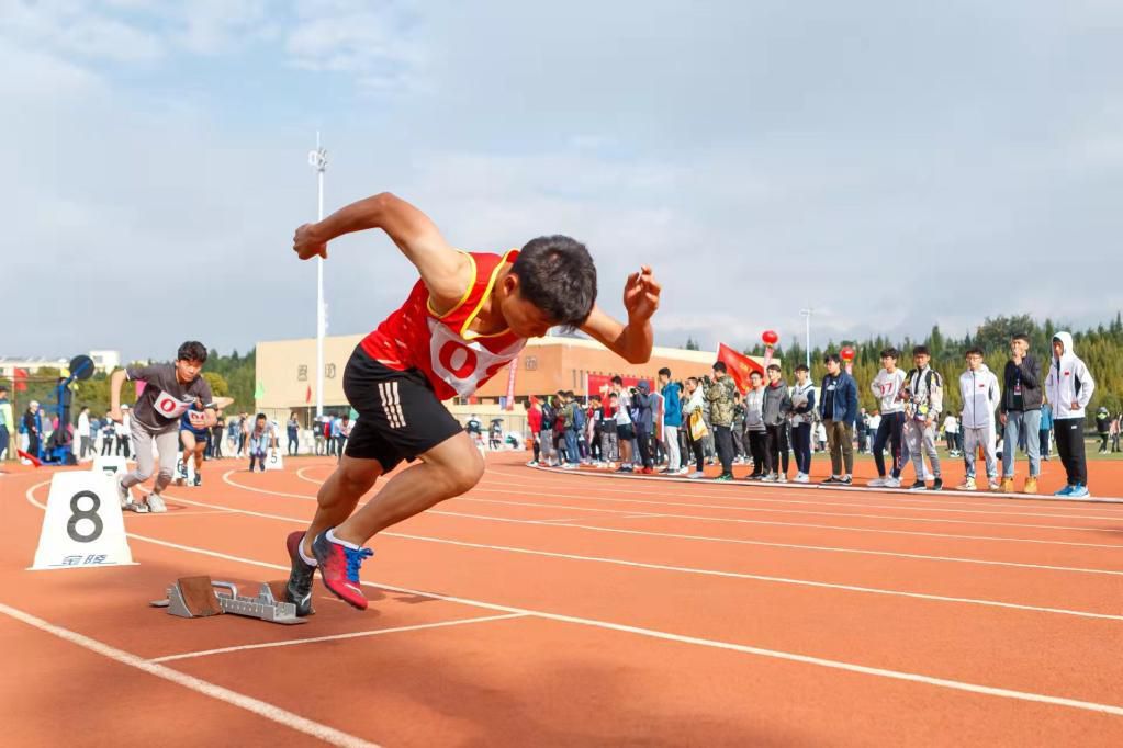 “最严体育校规”上热搜 你关心的所有答案来了 (http://www.cstr.net.cn/) 教育 第6张