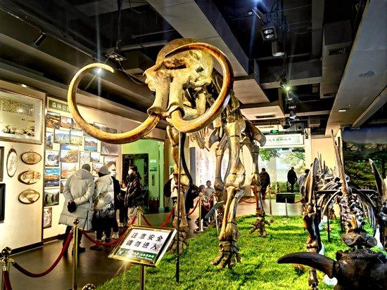 1月13日，哈尔滨，游客参观东北林业大学博物馆。
