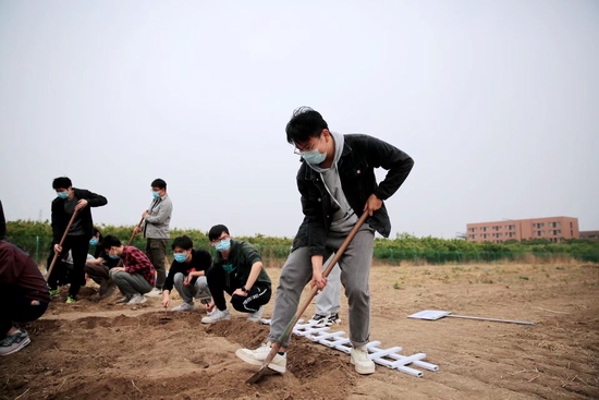 大学生们亲自开垦土地。 天津大学供图