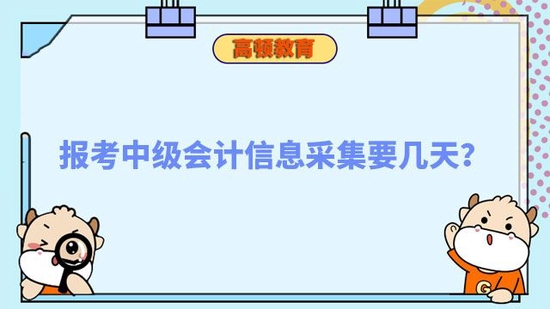 报考中级会计信息采集要几天_高顿教育