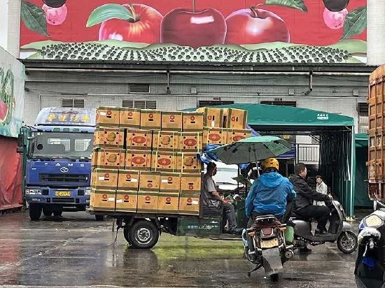 广州江南果菜批发市场榴莲交易区（图片拍摄：界面新闻 吴容）